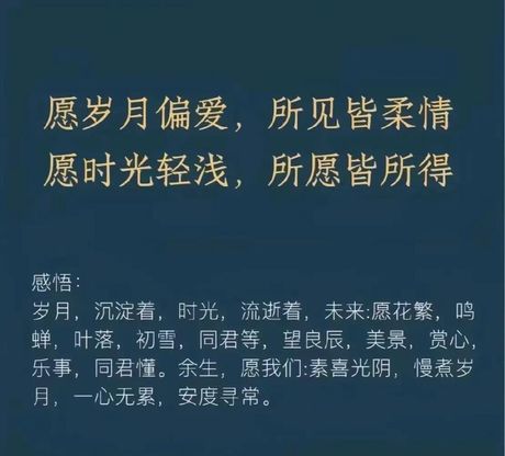 岁月不知心底事，岁月不知心底事，只愿你我都幸福