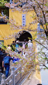 清凉寺的钟声，听清凉寺钟声，感悟内心